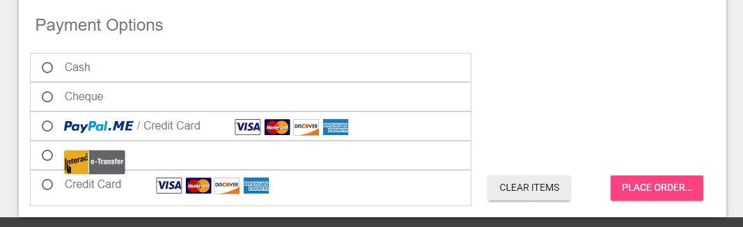 A screenshot of the payment options available on the team website page.