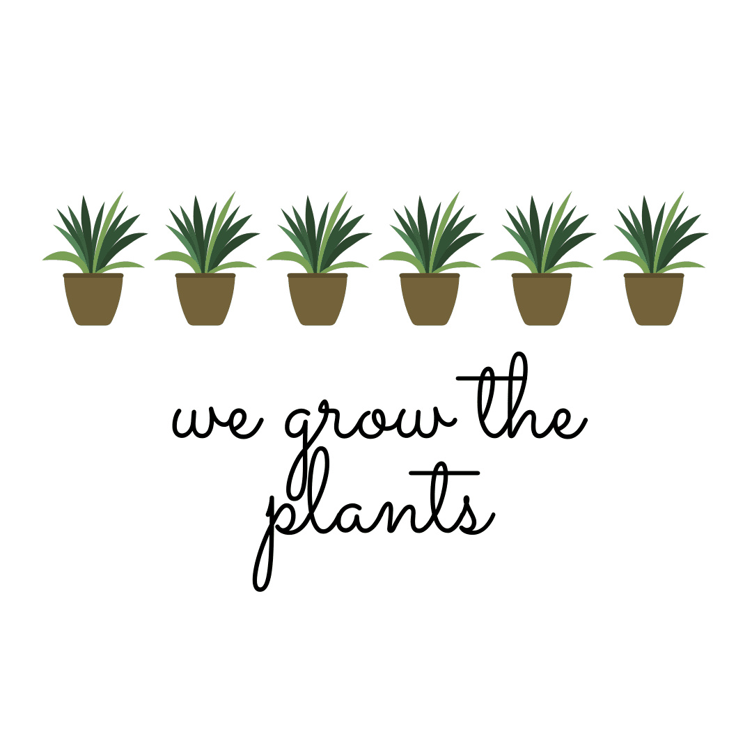 A line of potted green plants and "We Grow The Plants" written in black cursive writing.