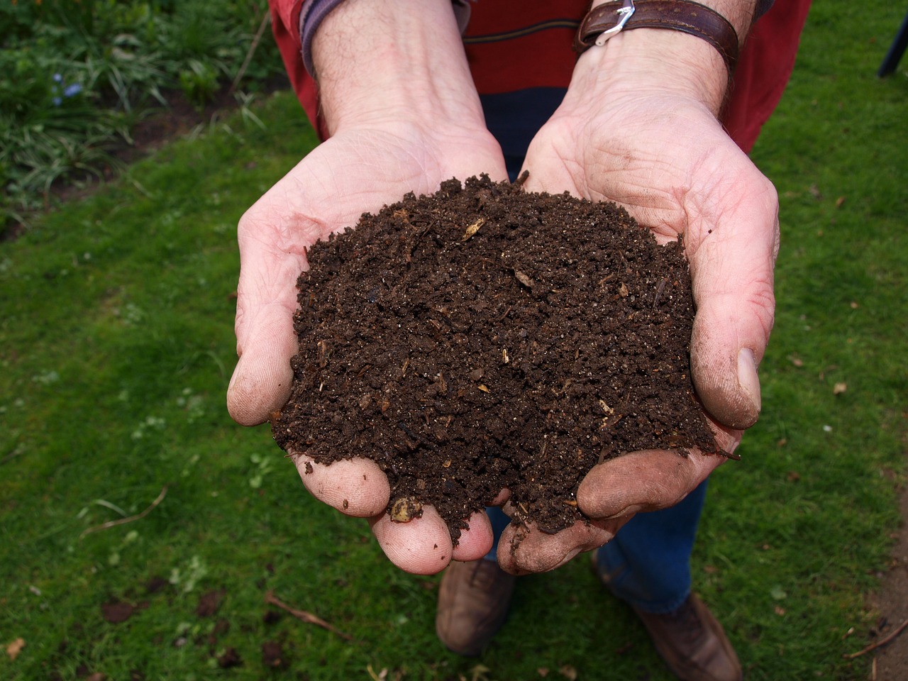 A man holding a pile of dirt between his two cupped hands. 