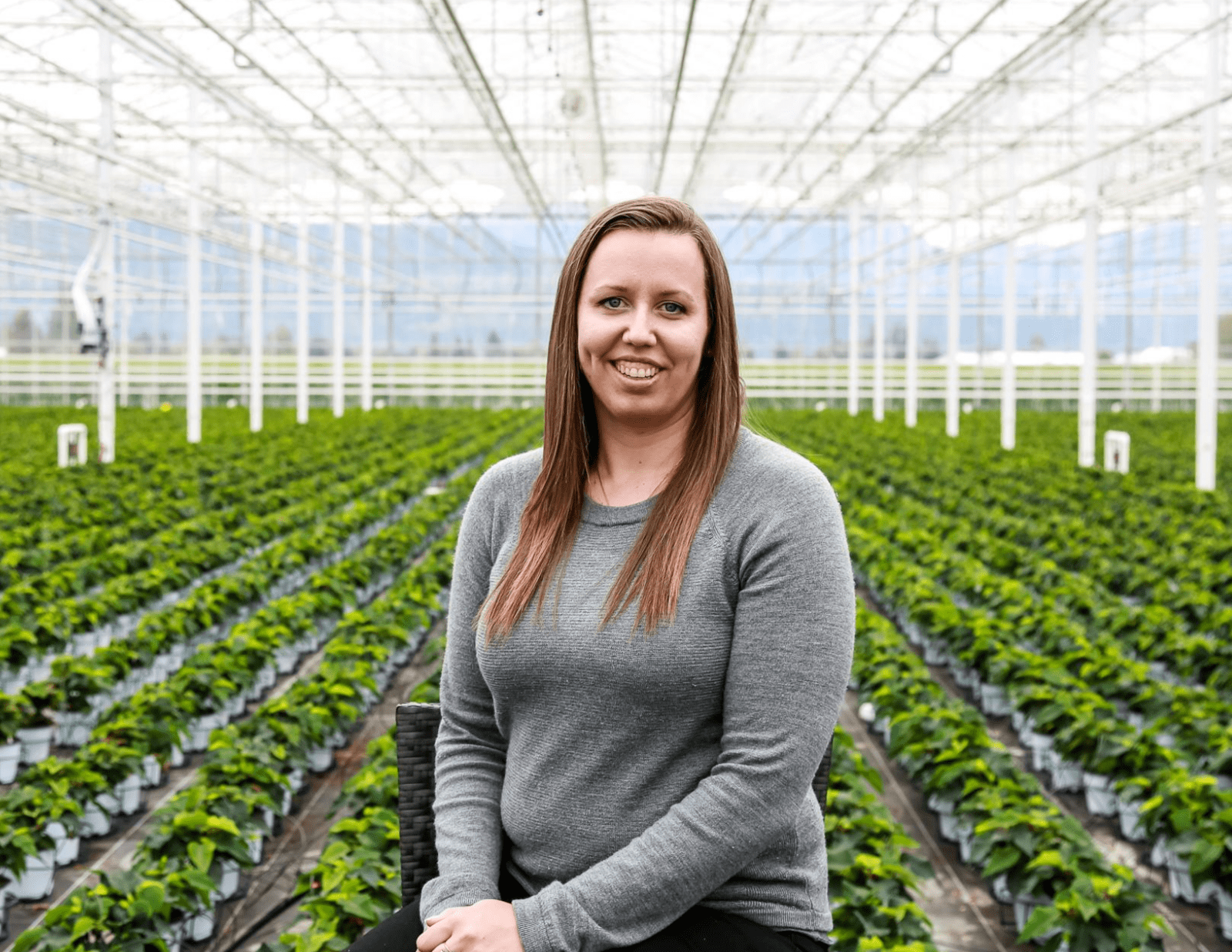 A brown haired women sitting in the middle of a greenhouse filled with green poinsettias.