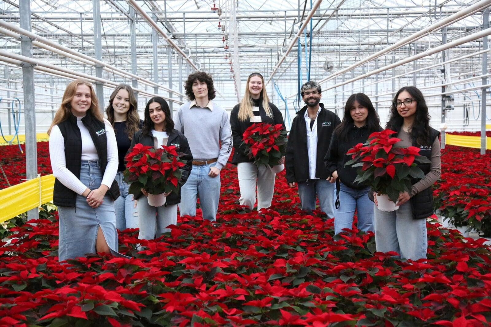 one man and six women holding red and pink poinsettias in a greenhouse